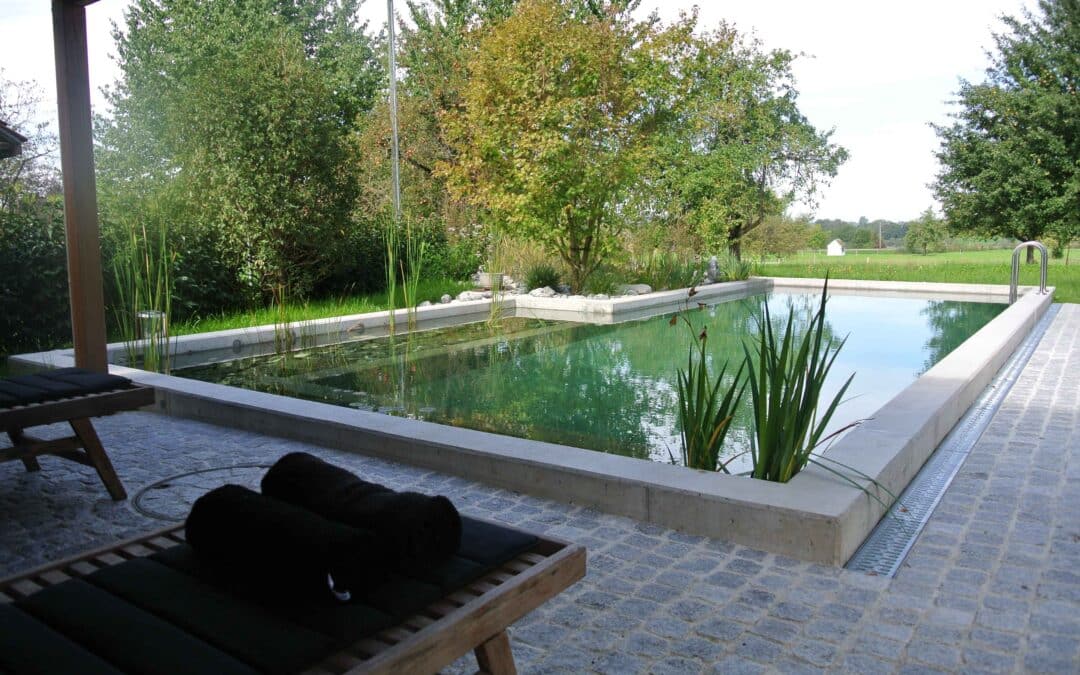 Neubau Schwimmteich, 8331 Auslikon